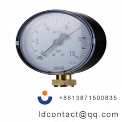 9014098_WIKA Pointer Radial Pressur